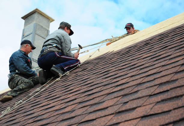 Roof Gutter Cleaning in Salmon Brook, CT